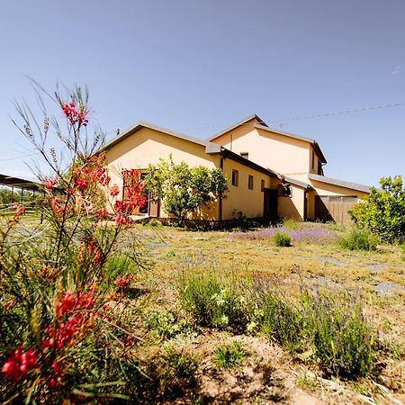 Agriturismo Bio Podere 109 - Wine&Food ألبيريزي المظهر الخارجي الصورة