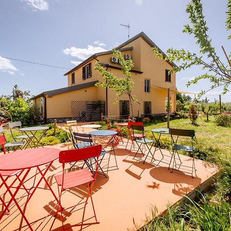 Agriturismo Bio Podere 109 - Wine&Food ألبيريزي المظهر الخارجي الصورة