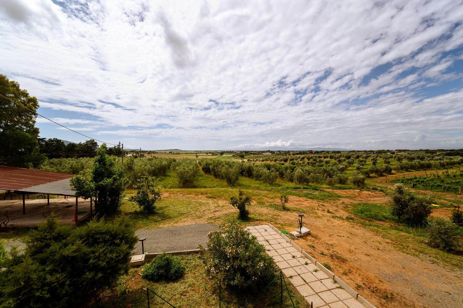Agriturismo Bio Podere 109 - Wine&Food ألبيريزي المظهر الخارجي الصورة