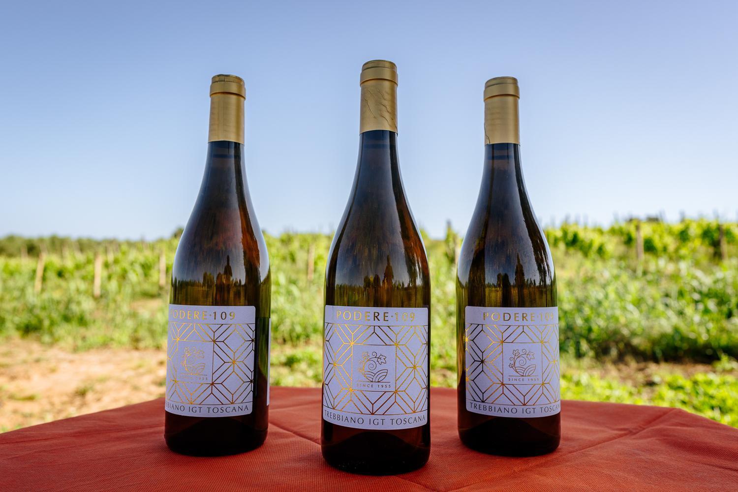 Agriturismo Bio Podere 109 - Wine&Food ألبيريزي المظهر الخارجي الصورة