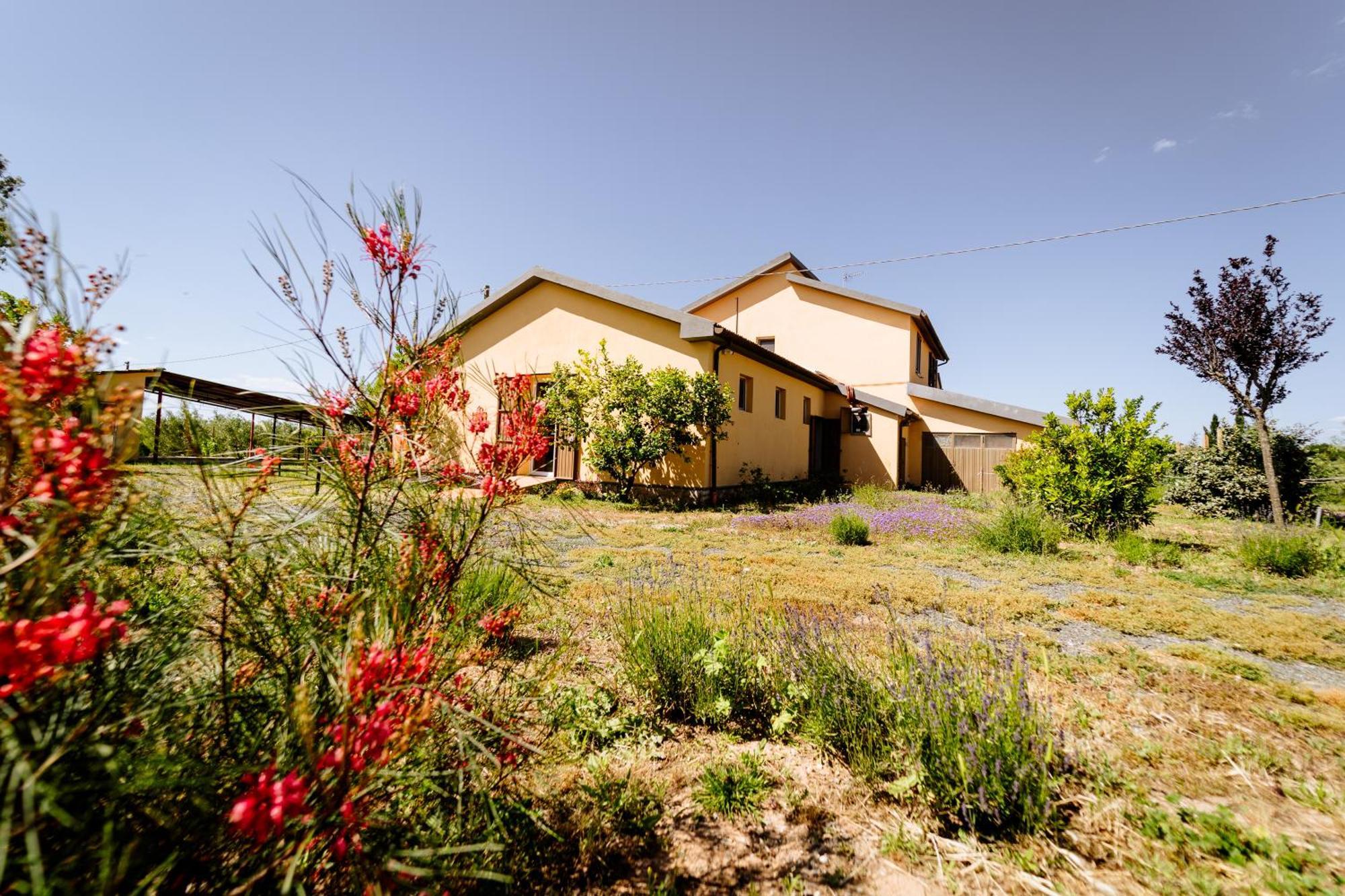 Agriturismo Bio Podere 109 - Wine&Food ألبيريزي المظهر الخارجي الصورة